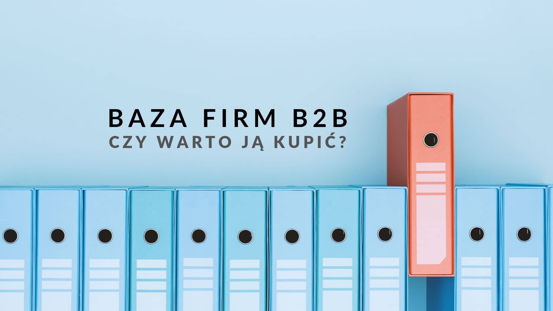 baza firm b2b czy warto ją kupić